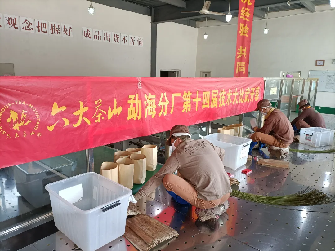 精益求精·鑄造品質(zhì)｜六大茶山第十四屆技術(shù)大比武圓滿完成